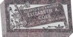16 inch x 8 inch x 3 inch Flat Granite Headstone in Himalayan with design F-108