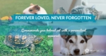 Pet Memorials: Remembering Your Animal Friend