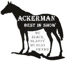Horse-1-Pet-Memorial-in-Imperial-Black-(PM128BK) Horse 1 Pet Memorial in Imperial Black PM128BK