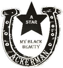 Horseshoe-and-Star-Pet-Memorial-in-Imperial-Black-(PM124BK) Horseshoe and Star Pet Memorial in Imperial Black PM124BK
