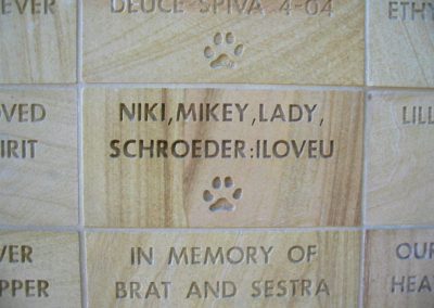 Rancho Coastal Humane Society Close Up