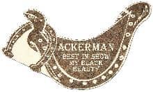 Saddle-and-Horseshoe-Pet-Memorial-in-Desert-Pink-(PM137CR) Saddle and Horseshoe Pet Memorial in Desert Pink PM137CR