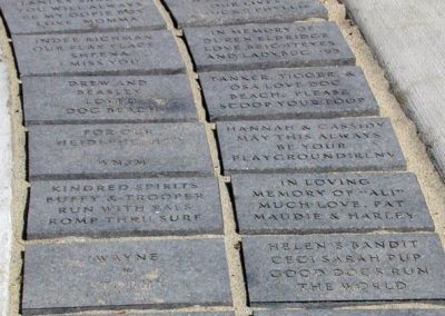 Dog Beach Pavers