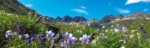 Identifying Unmarked Graves in the Historic Town of Lake City, Colorado